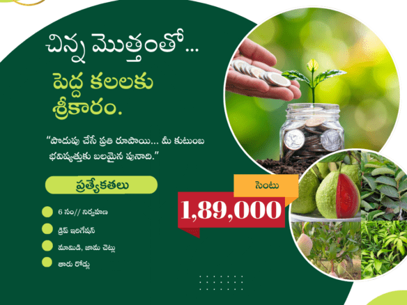 Plot for Sale Nandyal